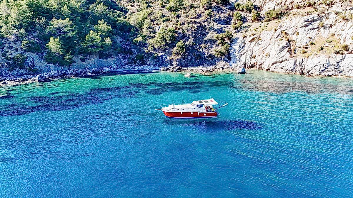 First sample avatar image