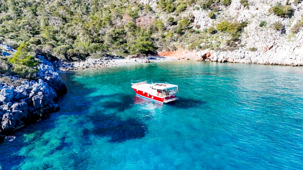 First sample avatar image