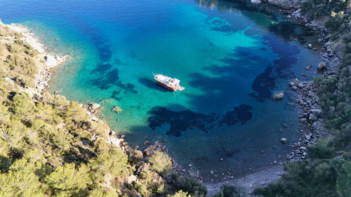 First sample avatar image