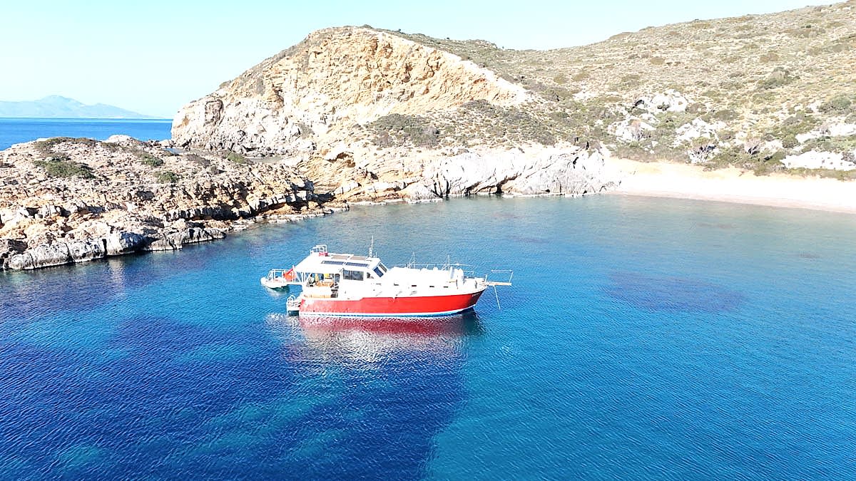 First sample avatar image